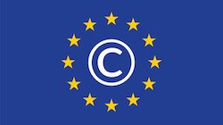 Read more about the article Article 13