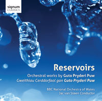 Read more about the article CD of the Month: Guto Puw Reservoirs