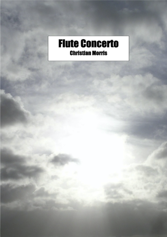 Read more about the article Concerto for Flute